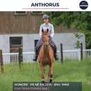 ANTHORUS - PS - 7 ANS 