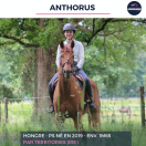ANTHORUS - PS - 7 ANS 