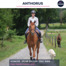 ANTHORUS - PS - 7 ANS 