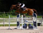 &Agrave; vendre Jument de sport 