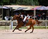 &Agrave; vendre Jument de sport 