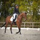 Cheval de sport pour CCE AMAT 1 / Elite 