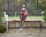 Cheval de sport pour CCE AMAT 1 / Elite 