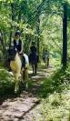 Poney D Plein papier lusitanien 