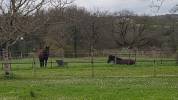 Belle demeure &eacute;questre en Gironde
