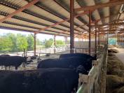 Propri&eacute;t&eacute; agricole