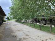 Equestrian property  Vend&eacute;e