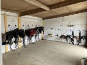 Equestrian property  Vend&eacute;e