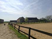? Propri&eacute;t&eacute; &eacute;questre de caract&egrave;re  Domaine de plus de