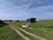 ? Propri&eacute;t&eacute; &eacute;questre de caract&egrave;re  Domaine de plus de