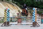 Jument de CSO 