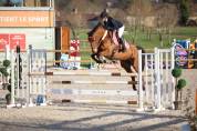 Jument de CSO 