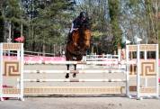 Jument de CSO 