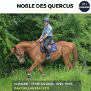 NOBLE DES QUERCUS - TF - 3 ANS