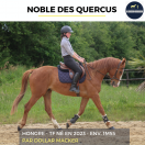 NOBLE DES QUERCUS - TF - 3 ANS