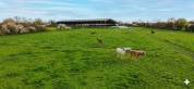 Pension secteur Montaigu 85