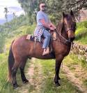Cheval ONC 6 ANS