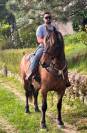 Cheval ONC 6 ANS