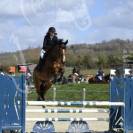 Hongre 6 ans - SF - 162cm