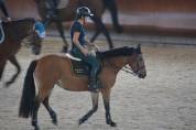 Pony sportivo 