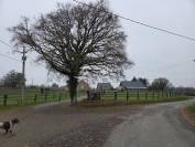 Haras d'&eacute;levage