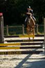 Vends Poney D 9 ans - CSO DRESSAGE CCE