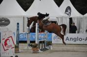 Poulini&egrave;re 14a SF (Arko III x Odyss&eacute;e Semilly)