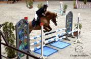 Ponette D