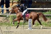 Ponette D