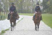 Pr&eacute; -entrainement / entra&icirc;nement 