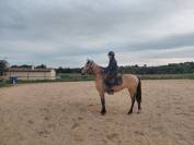 Jument Isabelle de 4 ans
