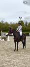 Top jument pour s&rsquo;&eacute;clater au concours!