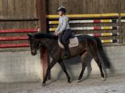 Top jument pour s&rsquo;&eacute;clater au concours!