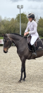 Top jument pour s&rsquo;&eacute;clater au concours!