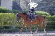 HONGRE SF 11 ANS 