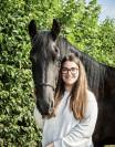 Frison &agrave; vendre 