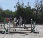 Ponette D 5 ans pour concours CSO et/ou Pony games 