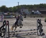 Ponette D 5 ans pour concours CSO et/ou Pony games 