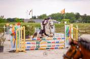 Ponette D 5 ans pour concours CSO et/ou Pony games 