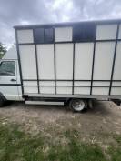 camion chevaux IVECO vente