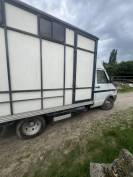 camion chevaux IVECO vente