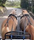 &Agrave; VENDRE &ndash; Voiture d&rsquo;attelage 4 roues Equitech