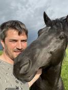 Cheval entier