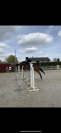 Poney D &agrave; vendre 