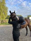 Poney D &agrave; vendre 