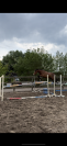 Poney D &agrave; vendre 