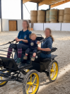 Voiture d&rsquo;attelage type Marathon 4 roues 