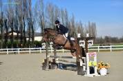 Cavallo 2016 