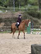 Cheval de Cso a vendre 