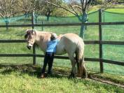 ENSEIGNANT D' EQUITATION